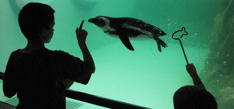 2008-09-27_Mystic_Aquarium 047_1.jpg